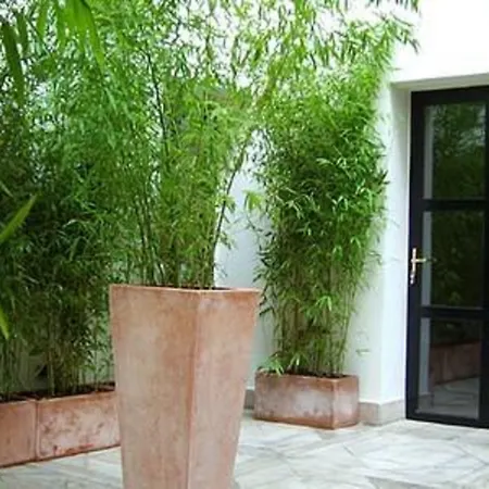 Tingis Hotel Parigi